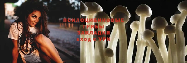 стаф Куйбышев