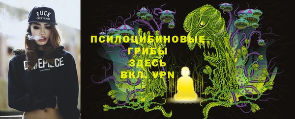 ALPHA PVP Краснослободск