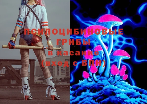 ALPHA PVP Краснослободск