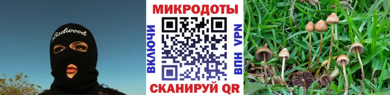 Псилоцибиновые грибы мицелий Нефтегорск